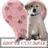 Comment est-ce possible